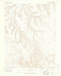 Download a high-resolution, GPS-compatible USGS topo map for Beaty Canyon, CO (1976 edition)