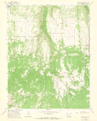 1964 Map of Beaver Park, 1968 Print