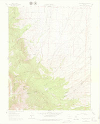 Download a high-resolution, GPS-compatible USGS topo map for Beck Mountain, CO (1978 edition)