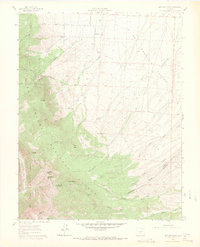 Download a high-resolution, GPS-compatible USGS topo map for Beck Mountain, CO (1971 edition)