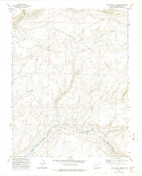 Download a high-resolution, GPS-compatible USGS topo map for Big Bucktail Creek, CO (1975 edition)