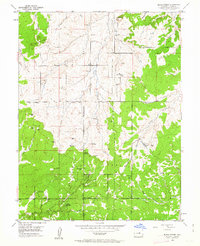 Download a high-resolution, GPS-compatible USGS topo map for Black Forest, CO (1963 edition)