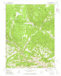 Download a high-resolution, GPS-compatible USGS topo map for Black Hawk, CO (1975 edition)