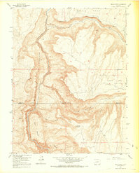 1955 Map of Black Ridge, 1969 Print