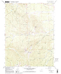 Download a high-resolution, GPS-compatible USGS topo map for Bottle Pass, CO (1992 edition)