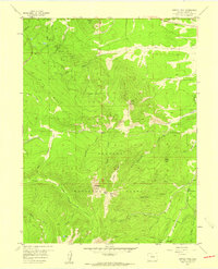 Download a high-resolution, GPS-compatible USGS topo map for Bottle Pass, CO (1959 edition)