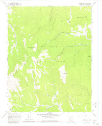 Download a high-resolution, GPS-compatible USGS topo map for Bowers Peak, CO (1980 edition)
