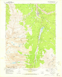 Download a high-resolution, GPS-compatible USGS topo map for Breckenridge, CO (1973 edition)