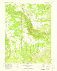 Download a high-resolution, GPS-compatible USGS topo map for Broken Rib Creek, CO (1977 edition)