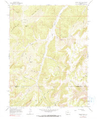 Download a high-resolution, GPS-compatible USGS topo map for Brushy Point, CO (1990 edition)