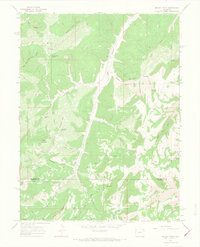 Download a high-resolution, GPS-compatible USGS topo map for Brushy Point, CO (1968 edition)