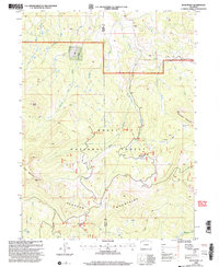 Download a high-resolution, GPS-compatible USGS topo map for Buck Point, CO (2004 edition)