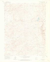 Download a high-resolution, GPS-compatible USGS topo map for Buckhorn Lakes, CO (1966 edition)