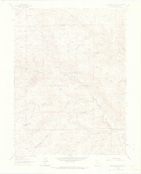 Download a high-resolution, GPS-compatible USGS topo map for Buckhorn Mountain, CO (1969 edition)