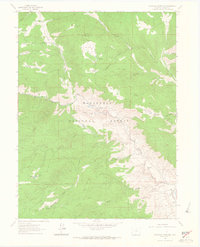 Download a high-resolution, GPS-compatible USGS topo map for Buckhorn Mountain, CO (1964 edition)