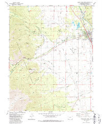 Download a high-resolution, GPS-compatible USGS topo map for Buena Vista West, CO (1983 edition)