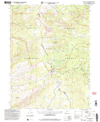 Download a high-resolution, GPS-compatible USGS topo map for Buffalo Pass, CO (2004 edition)