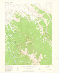 Download a high-resolution, GPS-compatible USGS topo map for Buffalo Peak, CO (1963 edition)