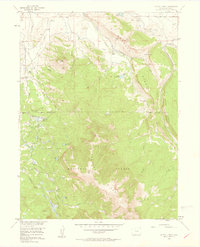 Download a high-resolution, GPS-compatible USGS topo map for Buffalo Peak, CO (1958 edition)