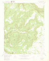 Download a high-resolution, GPS-compatible USGS topo map for Bull Canyon, CO (1980 edition)