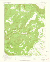 Download a high-resolution, GPS-compatible USGS topo map for Bull Canyon, CO (1961 edition)