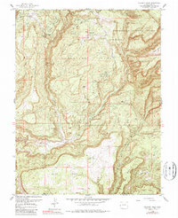 Download a high-resolution, GPS-compatible USGS topo map for Calamity Mesa, CO (1987 edition)