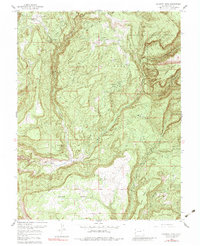 Download a high-resolution, GPS-compatible USGS topo map for Calamity Mesa, CO (1983 edition)