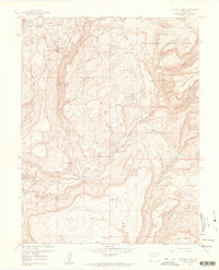 Download a high-resolution, GPS-compatible USGS topo map for Calamity Mesa, CO (1961 edition)