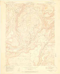 Download a high-resolution, GPS-compatible USGS topo map for Calamity Mesa, CO (1950 edition)
