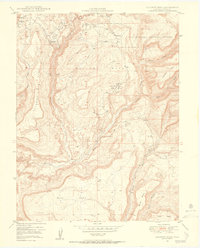 Download a high-resolution, GPS-compatible USGS topo map for Calamity Mesa, CO (1955 edition)