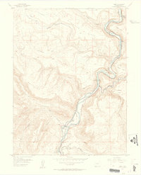 Download a high-resolution, GPS-compatible USGS topo map for Cameo, CO (1957 edition)