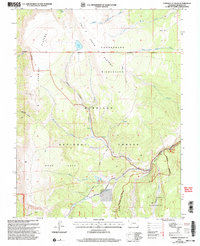Download a high-resolution, GPS-compatible USGS topo map for Cannibal Plateau, CO (2004 edition)