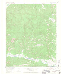 Download a high-resolution, GPS-compatible USGS topo map for Carracas, CO (1968 edition)