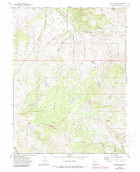 Download a high-resolution, GPS-compatible USGS topo map for Castle Peak, CO (1988 edition)