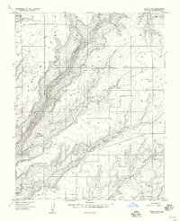 Download a high-resolution, GPS-compatible USGS topo map for Cedar 3 SW, CO (1958 edition)