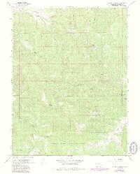preview thumbnail of historical topo map of Garfield County, CO in 1963