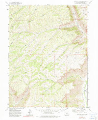 Download a high-resolution, GPS-compatible USGS topo map for Circle Dot Gulch, CO (1981 edition)
