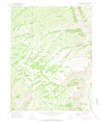 Download a high-resolution, GPS-compatible USGS topo map for Circle Dot Gulch, CO (1974 edition)