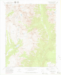 preview thumbnail of historical topo map of La Plata County, CO in 1973