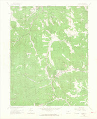 Download a high-resolution, GPS-compatible USGS topo map for Conifer, CO (1967 edition)