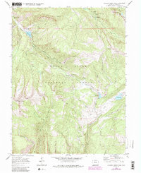 Download a high-resolution, GPS-compatible USGS topo map for Crooked Creek Pass, CO (1988 edition)