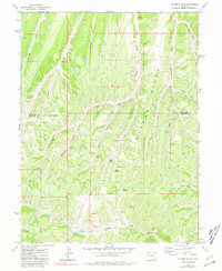 Download a high-resolution, GPS-compatible USGS topo map for Cutoff Gulch, CO (1980 edition)