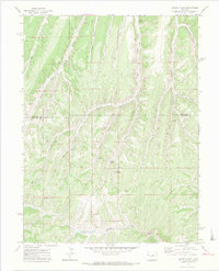Download a high-resolution, GPS-compatible USGS topo map for Cutoff Gulch, CO (1974 edition)