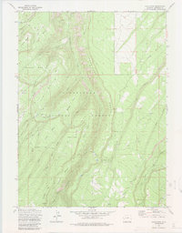 Download a high-resolution, GPS-compatible USGS topo map for Davis Peak, CO (1985 edition)