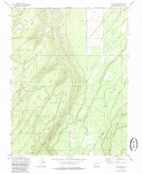 Download a high-resolution, GPS-compatible USGS topo map for Davis Point, CO (1985 edition)
