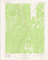 Download a high-resolution, GPS-compatible USGS topo map for Davis Point, CO (1976 edition)
