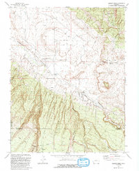 Download a high-resolution, GPS-compatible USGS topo map for Dawson Draw, CO (1993 edition)