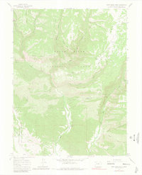 Download a high-resolution, GPS-compatible USGS topo map for Deep Creek Point, CO (1981 edition)