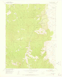 Download a high-resolution, GPS-compatible USGS topo map for Devils Head, CO (1955 edition)