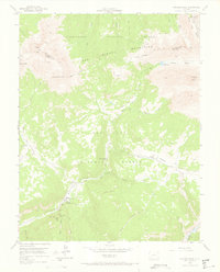 Download a high-resolution, GPS-compatible USGS topo map for Dolores Peak, CO (1970 edition)